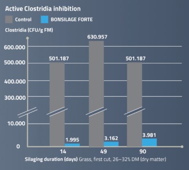Active Clostridia inhibition