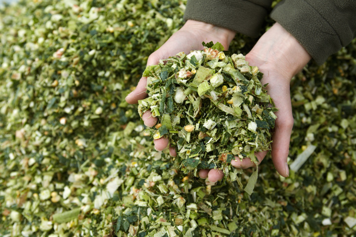 Bonsilage Whole Crop & Whole Crop Plus