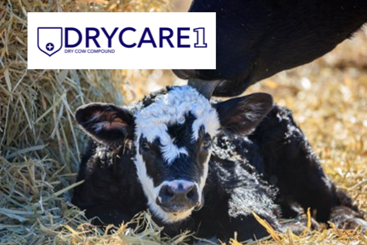 DRYCARE-1