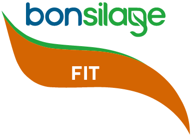 Bsfitm