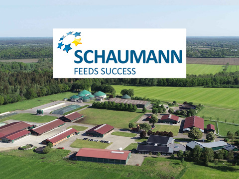 Schaumann 1