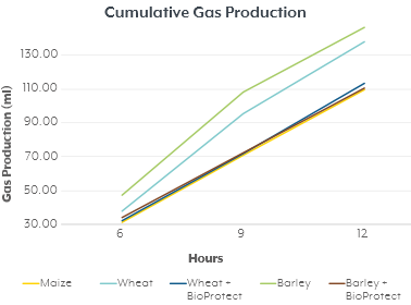 Cumulative Gas Production