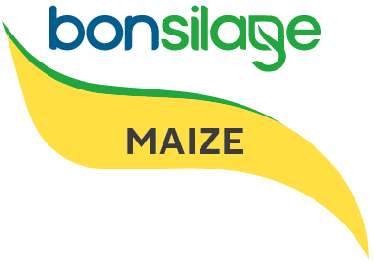 Bonsilage maize