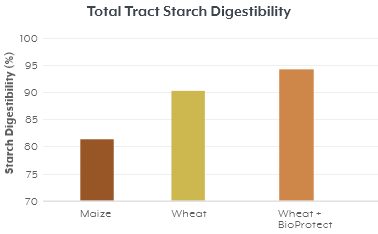 Total Tract Starch Digestibility