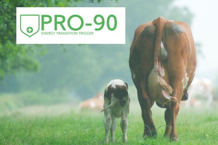 PRO-90