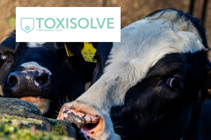 Toxisolve