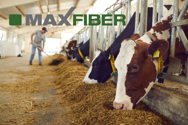 MAXFIBER