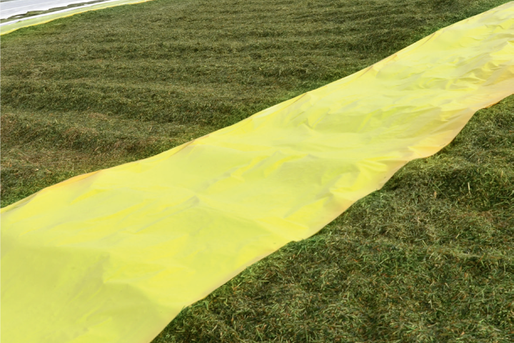 Passion Yellow Oxygen Barrier Film